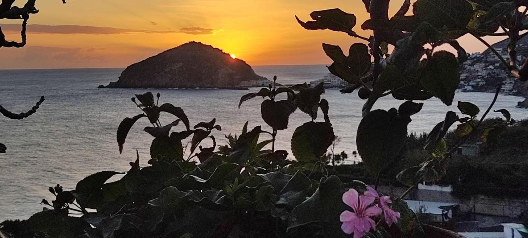 Bed and Breakfast Casa Antonio Barano dʼIschia Exterior foto